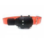 collier GPS chien