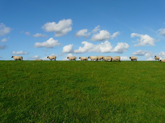 Ferme pédagogique