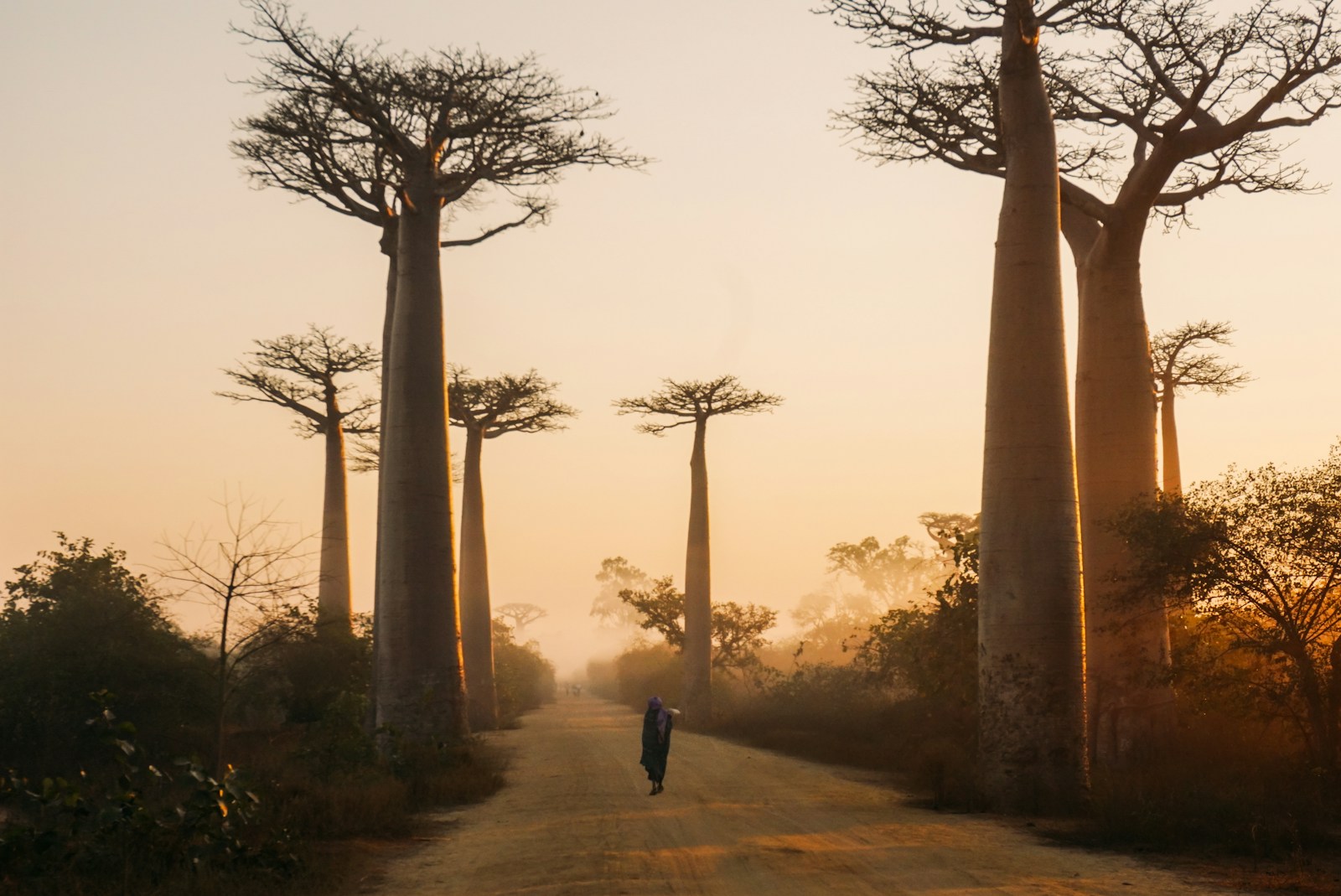 Agence de voyage à Madagascar